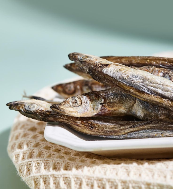 5 Fishy Bytes – Omega-3 Rich Natural Fish Treats for Dogs & Cats | Skin & Joint Support